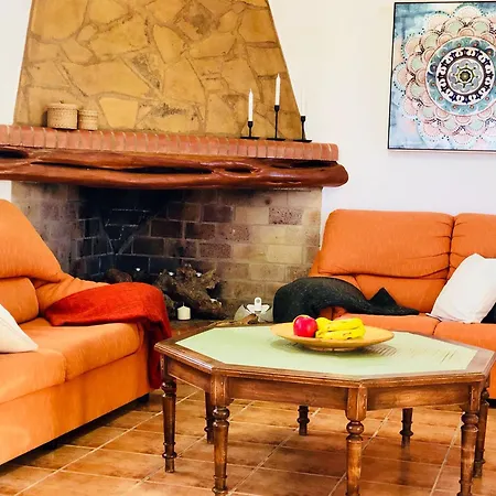 فيلة Palmeras سانتا أيُلاريا ذيس ريو